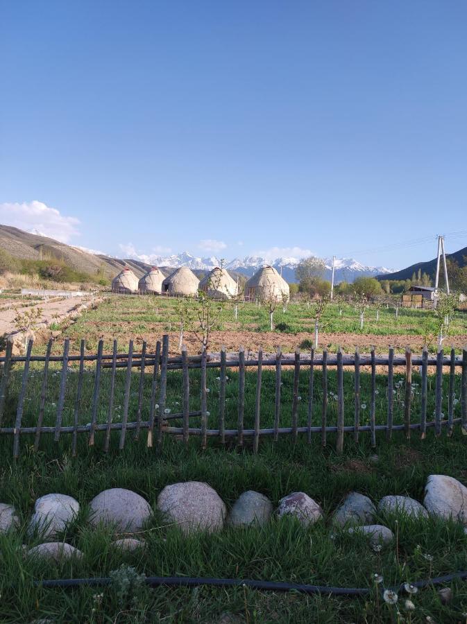 Eco Village Lodge Dzhetyoguz Ngoại thất bức ảnh